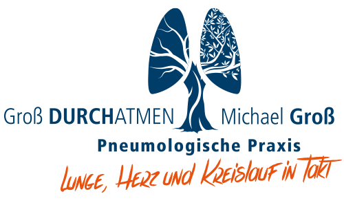 Pneumologische Praxis Michael Groß in Schönebeck